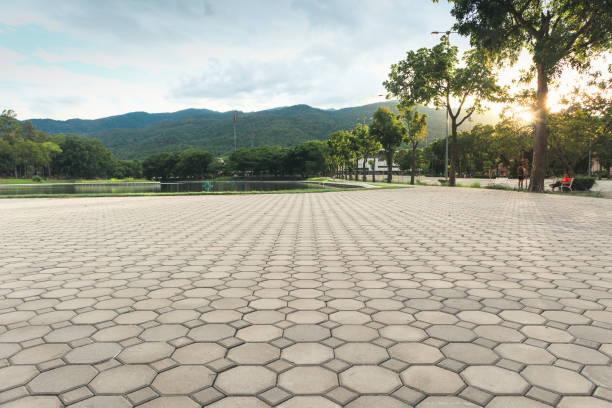 Best Driveway Paver Repairs and Restoration in Thomasboro, IL