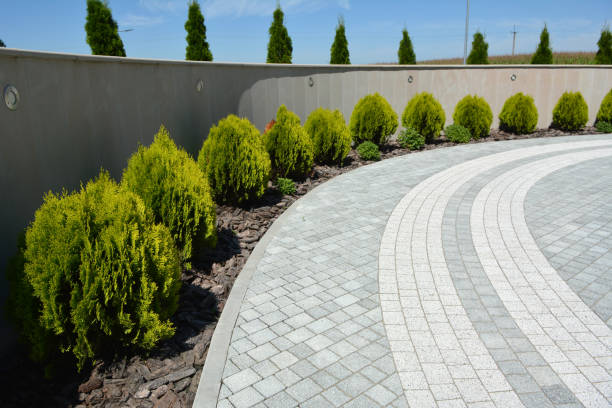 Best Asphalt Driveway Paving in Thomasboro, IL